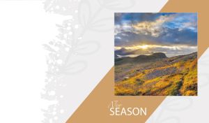 Mountain waterscape at sunrise on a grey backdrop with a tan oblique panel