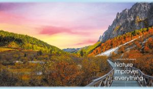 Nature Improves Everything | Tranquil Scenic Landscapes