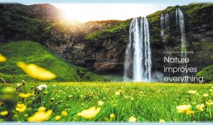 Scenic landscape with a waterfall and a verdant summer meadow in daylight