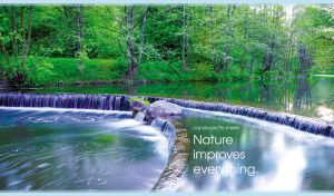 Scenic landscape with water terraces and a forest river against the green trees