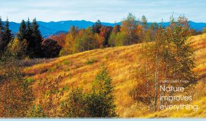 Scenic landscape with a yellow autumn slope against the blue mountains
