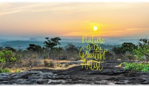 Panoramic scenery of lava field in the Guiana Amazonian Park at yellow dawn