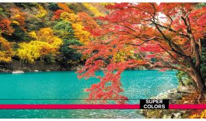Autumn landscape with multicolor foliage over an azure lake