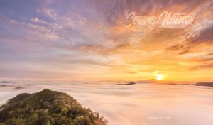 Serene Nature | Scenic Golden Hour Landscapes