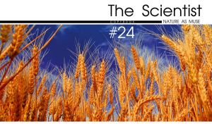 Close-up of wheat ears beneath the blue sky on the cover of a science magazine
