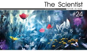 Close-up of wildflowers in the morning blue on the cover of a science magazine
