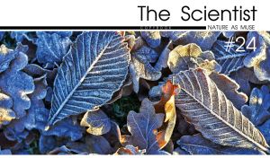 Close-up of fallen frozen leaves on the cover of a science magazine