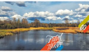 Autumn scenery with reeds and trees on the river bank under the fluffy clouds