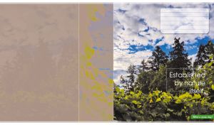 Scenic view of hop leaves and a mixed forest under white clouds in the blue sky