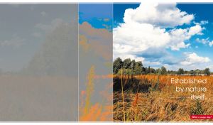 Scenic view of a dry grass meadow under white clouds in the blue sky