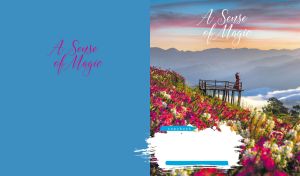 Magical mountain view with a lady overlooking mountains and meadows on blue