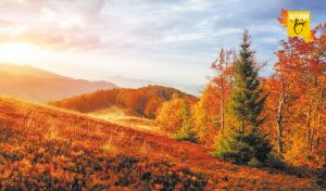 Vibrant autumn landscape with forest and hills in orange sunset lights