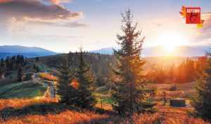 Autumn sunset in the mountains with lush evergreen forest trees