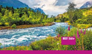Mountain stream meandering through a lush green forest under a cloudy sky