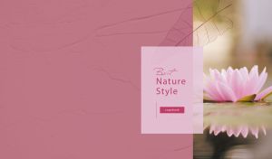 Floral miniature with a water lilly on a wild pink backdrop