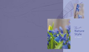 Floral miniature with blue snowdrop flowers on a pastel dark blue backdrop