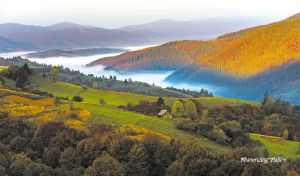 Verdant valley against an autumn mountain forest enveloped in mist its foot