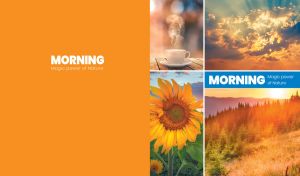 The morning magic power of nature collage on an orange backdrop