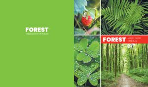 The forest magic power of nature collage on a light green backdrop