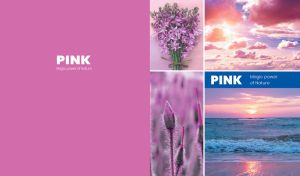 The pink magic power of nature collage on a lilac backdrop