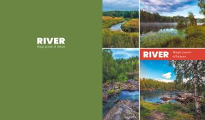 The river magic power of nature collage on a moss green backdrop