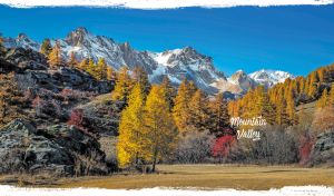 Autumnal fall yellow trees in foothills and snowy peaks on blue and white
