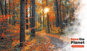 Red autumnal forest with fallen leaves decorated with a white cloud of smoke