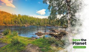Birch tree by a river decorated with a white cloud of smoke