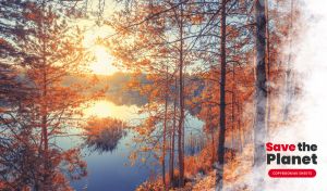 Autumnal forest by a lake at sunset decorated with a white cloud of smoke