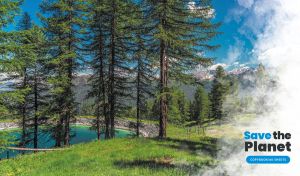 Green spruce tree over a pond decorated with a white cloud of smoke