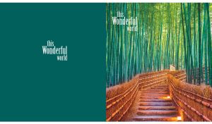 A staircase leading deep into a vibrant bamboo forest on dark teal