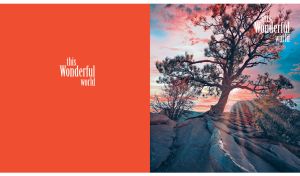 Lone tree on a rocky terrain at a vibrant dawn on orange