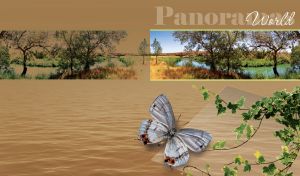 Panorama view of trees and white butterfly over frame on a tan background.