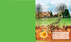 Rusty bushes, green fields and a mansion with trees on light green