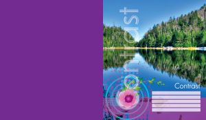 Mountain lake with green forest and blue sky, reflected in the water on purple