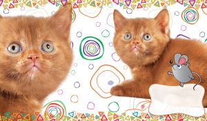 Cats & Mice Sentiments | Pets on Geometric Patterns | on White