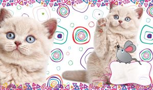 White kitten with blue eyes, its paw up and a cartoon mouse in anticipation on white