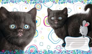 Thoughtful black kitten with blue eyes with cartoon gray mouse on circle pattern