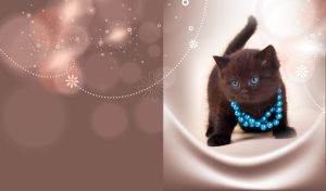 Adorable black kitten facing forward wearing necklace with brown overlay
