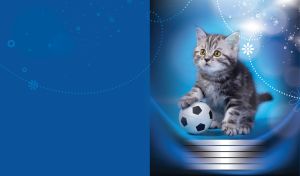 Adorable grey tabby kitten rests paw on football with blue overlay and text box
