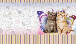 A red tabby kitten and a grey kitten with painted butterfly wings