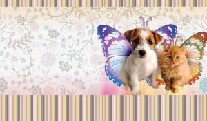 A red kitten and a white and brown puppy with painted butterfly wings