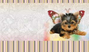 A Yorkshire terrier puppy with painted butterfly wings