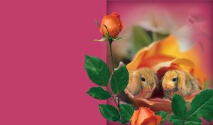 Cute Pairs | Rabbits in vignettes with floral adornment on monocolored background