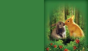 A ginger rabbit and a grey rabbit kiss in a wild forest on a green postcard