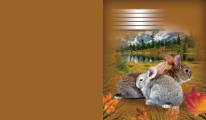 Pair of brown and grey rabbits cuddle by the mountain lake on a brown postcard