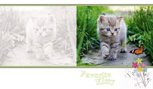Tabby kitten and a butterfly in a grassy field on a white backdrop