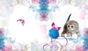 Tabby kitten plays with a woolen ball on a white backdrop with pastel flowers