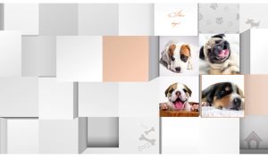 Tile style collage with funny puppies on pastel gray and white color 3D blocks