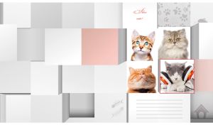 Tile style collage with funny cats on pastel gray and white color 3D blocks